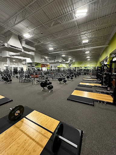 LA Fitness Profile Picture