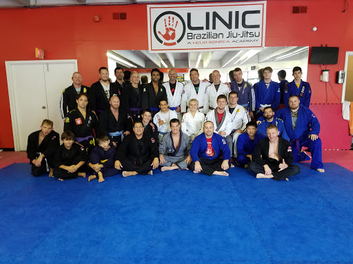 Linic Martial Arts Profile Picture