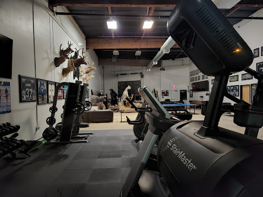 The little gym Profile Picture