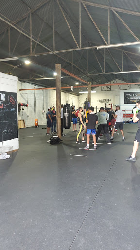 Director Boxing & Fitness Profile Picture
