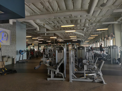 Fitness 19 Profile Picture