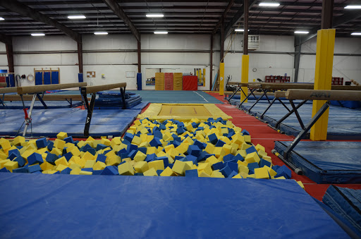 CAMpion Gymnastics Profile Picture