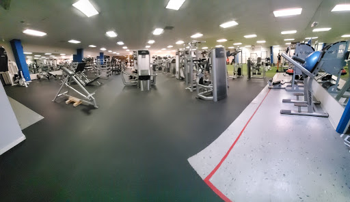 The Shark Gym Profile Picture