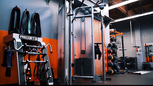 True Strength and Conditioning Profile Picture