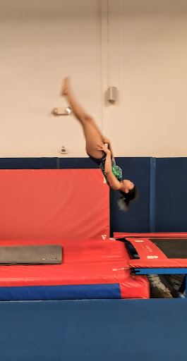 Desert Tumbling Profile Picture