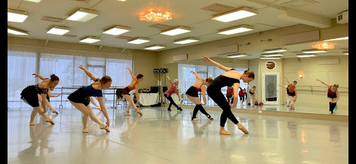 Studio Pulse Center for Dance + The Annex Yoga & Dance Fitness Profile Picture
