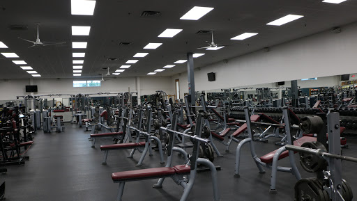 The GYM @ Norton Profile Picture