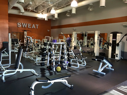 Precision Health And Wellness Personal Training Profile Picture
