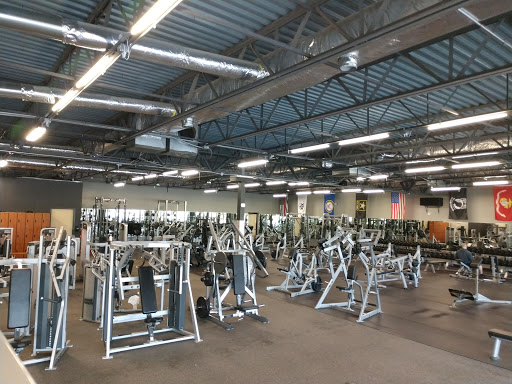 Iron Society Strength and Fitness Profile Picture