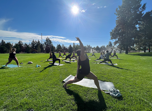 Still Water Yoga & Wellness Profile Picture