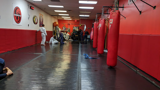 Triumph Brazilian Jiu Jitsu Profile Picture
