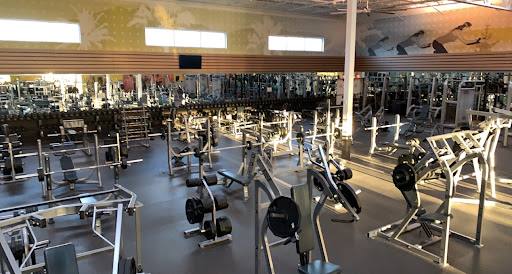 Esporta Fitness Profile Picture