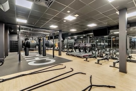 Mayweather Boxing + Fitness Dearborn Profile Picture