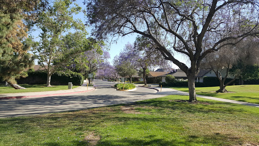 Cerritos Park East Profile Picture