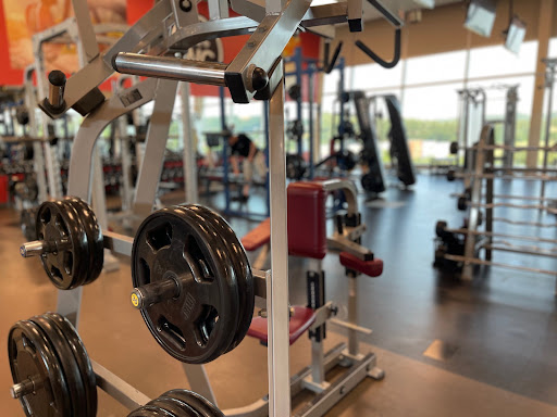 The Wellness Center Profile Picture
