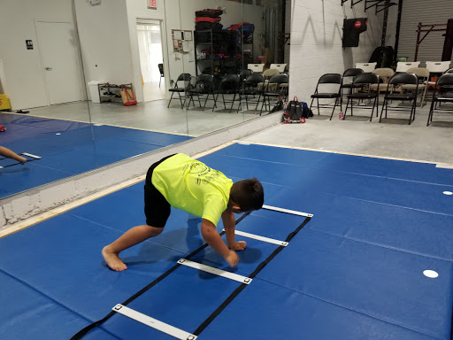 Hybrid Martial Arts Profile Picture