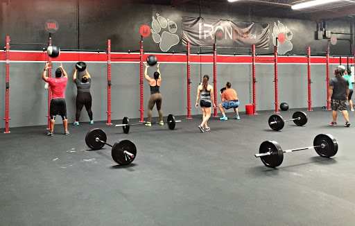 Iron Dog Gym Profile Picture