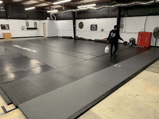 Wise Jiu Jitsu Profile Picture