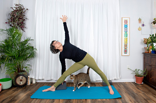 Hudson River Yoga Profile Picture
