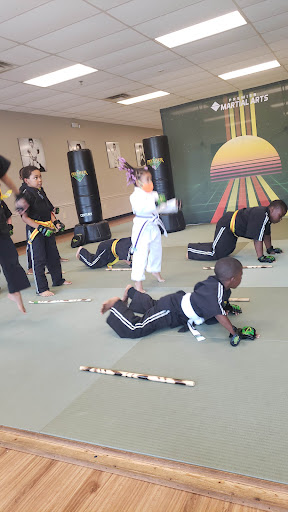 Premier Martial Arts Mableton Profile Picture