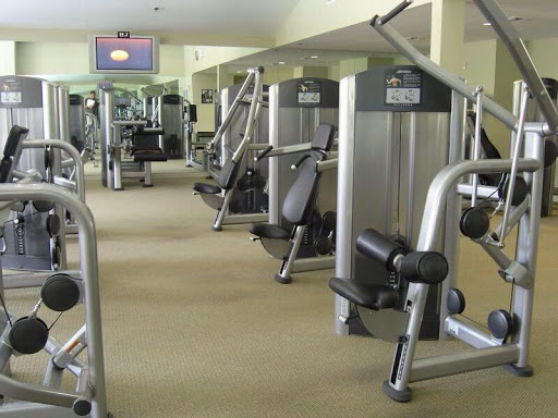 Elite Gym EquPMent International Profile Picture