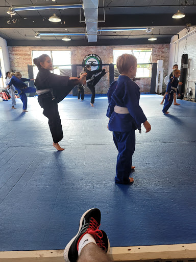3 Elements BJJ and MMA Profile Picture