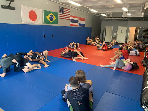 Vortex Martial Arts Gym LLC Profile Picture