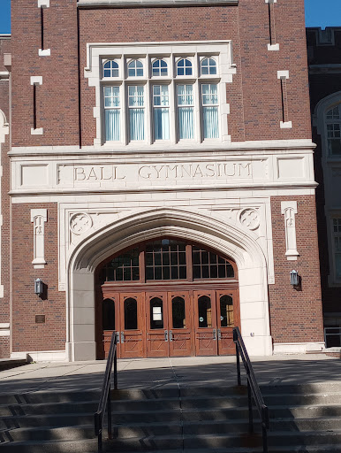Ball Gymnasium Profile Picture