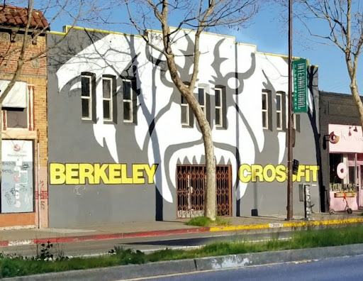 BERKELEYBCF Profile Picture