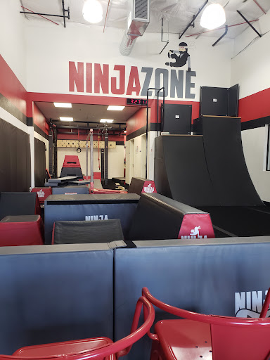 Ninja Zone Profile Picture