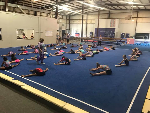 Impact Gymnastics and Sports Academy Profile Picture