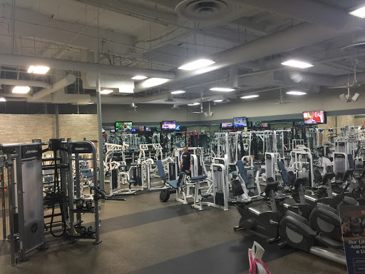 Fitness 19 Profile Picture