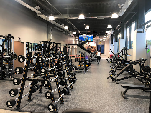 Fitness Factory Profile Picture
