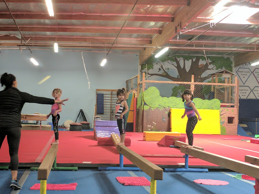 SCEGA Gymnastics Profile Picture