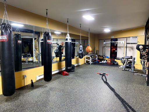 Babylon Boxing Profile Picture