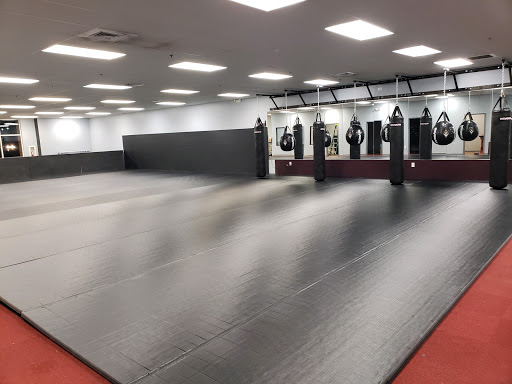 V.I.P. Martial Arts Academy Profile Picture