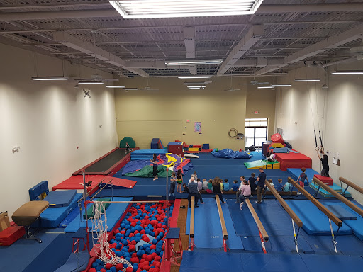 GymCats Gymnastics Center Profile Picture