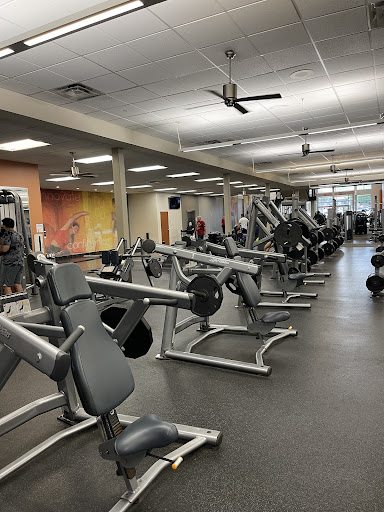 LA Fitness Profile Picture