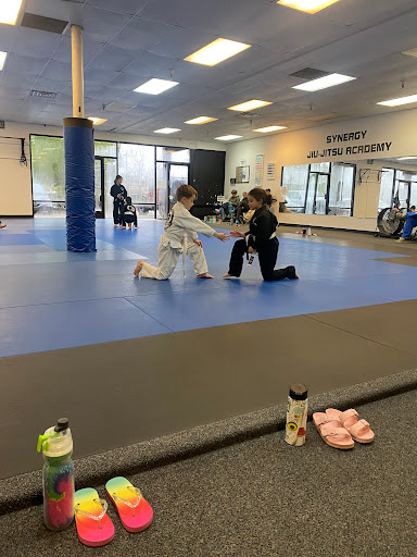 Synergy Jiu-Jitsu Academy Profile Picture