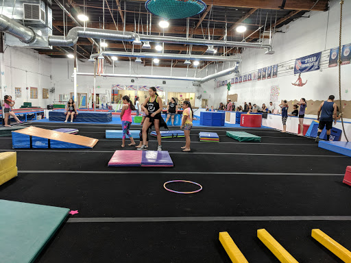 Stars Gymnastics LLC Profile Picture
