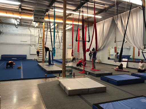 Arizona Circus Center Profile Picture