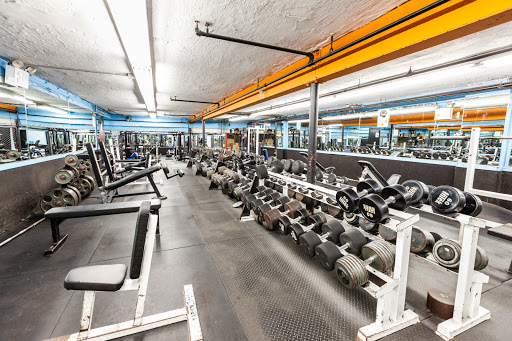 Powerhouse Gym Bayside Profile Picture