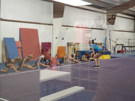 Gainesville Gymnastics Profile Picture