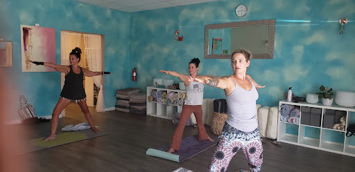 Venus Moon Wellness Boutique Profile Picture