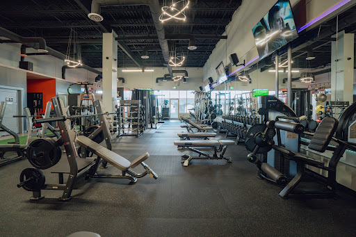 TR Fitness Gym Profile Picture