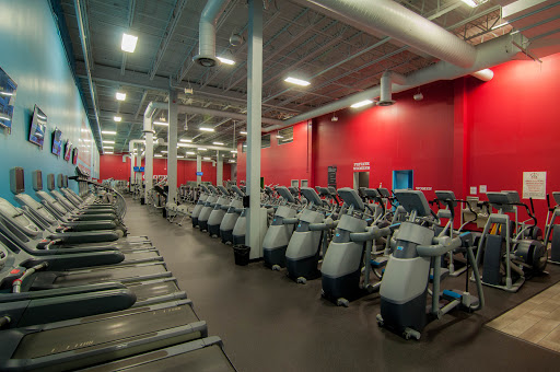 World Gym Profile Picture