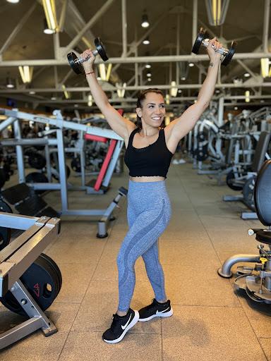 MpShape Profile Picture
