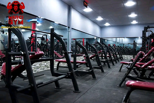 MARCI GYM Profile Picture