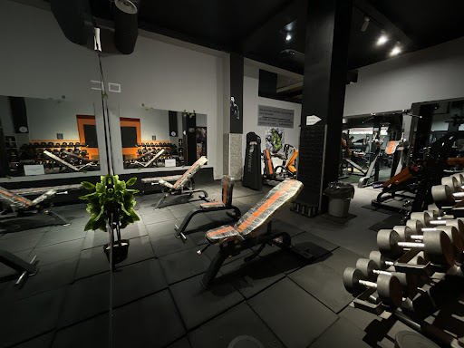 We lift gym Profile Picture