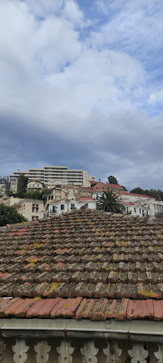 Bejaia Muscule Profile Picture